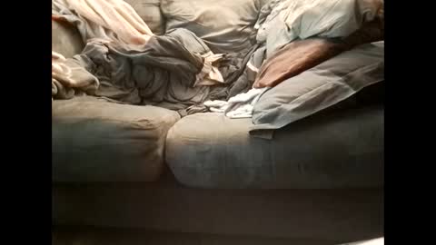 Snapshot of gratiotony chatting on 22, 1, 2025 Get US to 1000 you wont be disapointed online show from 22, 1, 2025