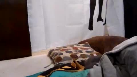 Snapshot of gratiotony chatting on 18, 12, 2025 Get US to 1000 you wont be disapointed online show from 18, 12, 2025