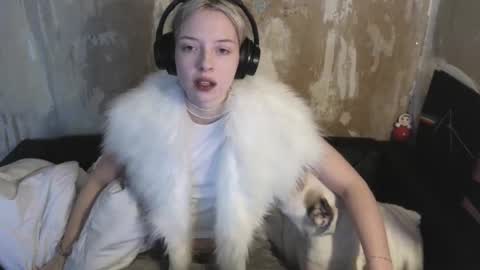 Snapshot of graylovescookies chatting on 19, 12, 2024 graylovescookies online show from 19, 12, 2024