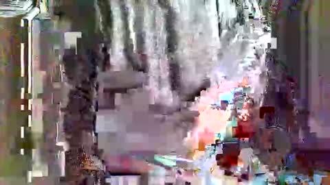 greyhounddog online show from 4, 4, 2026