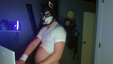 Snapshot of growingcub94 chatting on 8, 10, 2025 Alpha pup online show from 8, 10, 2025