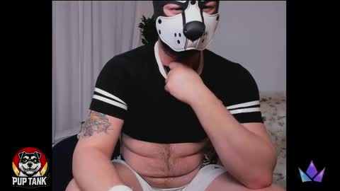 Alpha pup online show from 15, 12, 2025