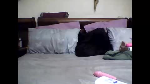 gucci-bx online show from 8, 3, 2025