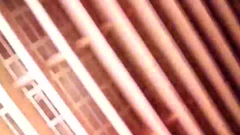 Snapshot of guidohnm chatting on 9, 1, 2025 Gu online show from 9, 1, 2025