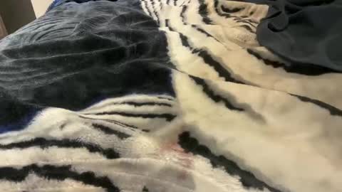 Snapshot of gumbywanna chatting on 24, 10, 2025 gumbywanna online show from 24, 10, 2025