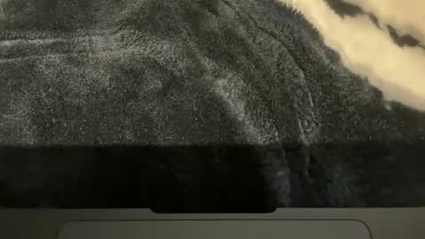 Snapshot of gumbywanna chatting on 16, 11, 2025 gumbywanna online show from 16, 11, 2025