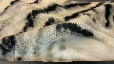 Snapshot of gumbywanna chatting on 26, 11, 2025 gumbywanna online show from 26, 11, 2025