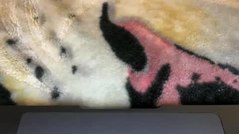 gumbywanna online show from 9, 3, 2026