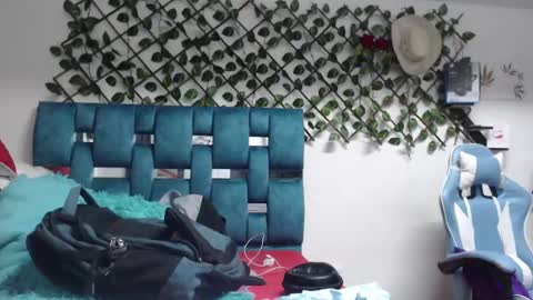 Hakim online show from 31, 3, 2026