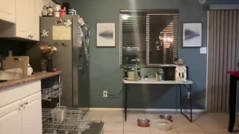 Snapshot of guyduder chatting on 13, 11, 2025 guyduder online show from 13, 11, 2025