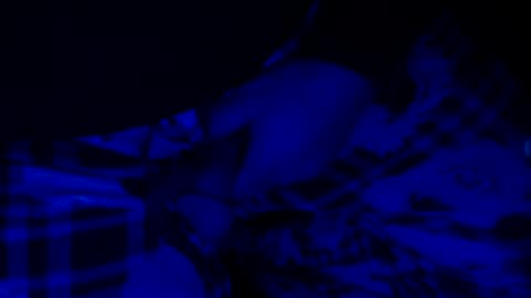 H2omygod online show from 14, 12, 2024