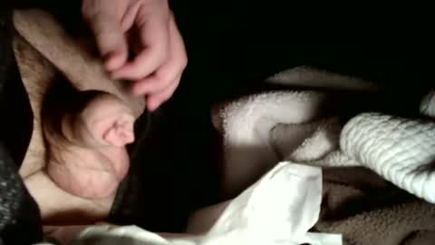 share9 online show from 2, 2, 2026