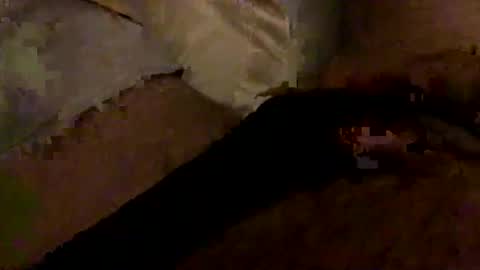 Snapshot of hairbear5 chatting on 10, 1, 2026 Bruce online show from 10, 1, 2026