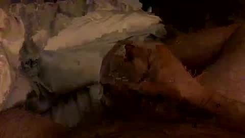 Snapshot of hairbear5 chatting on 4, 2, 2026 Bruce online show from 4, 2, 2026