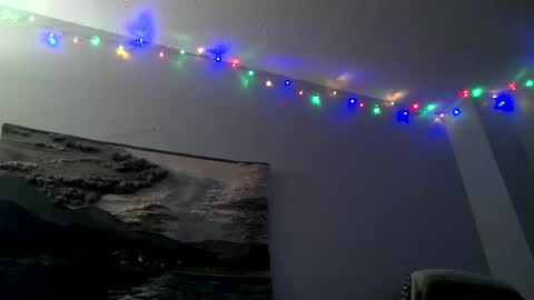 Hairiest Bear online show from 3, 12, 2024