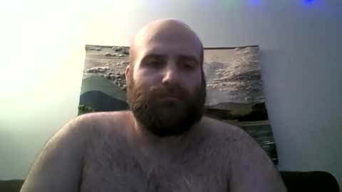Hairiest Bear online show from 13, 12, 2024