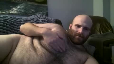 Hairiest Bear online show from 17, 1, 2025