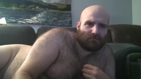 Hairiest Bear online show from 30, 1, 2025