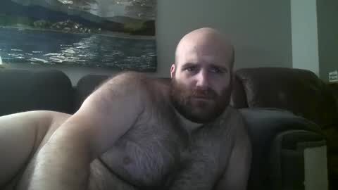 Hairiest Bear online show from 30, 1, 2025