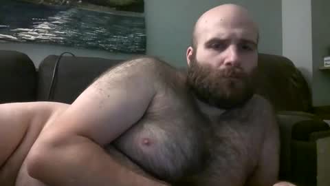 Hairiest Bear online show from 9, 2, 2025