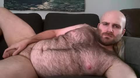 Hairiest Bear online show from 11, 2, 2025