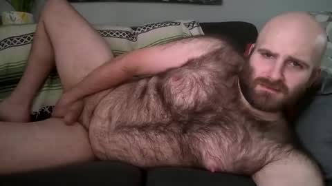 Hairiest Bear online show from 6, 2, 2026