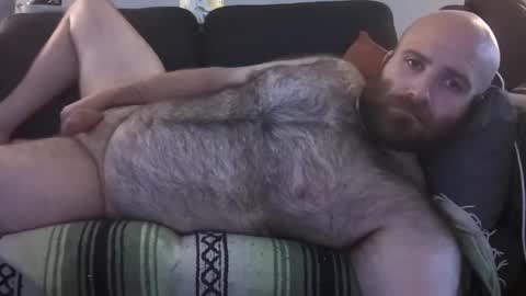 Snapshot of hairiestbear chatting on 23, 7, 2026 Hairiest Bear online show from 23, 7, 2026