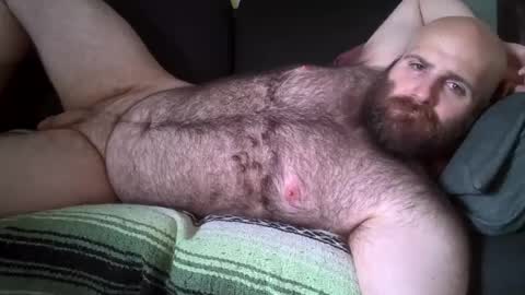 Snapshot of hairiestbear chatting on 1, 8, 2026 Hairiest Bear online show from 1, 8, 2026