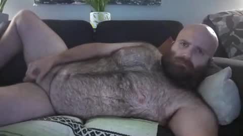 Snapshot of hairiestbear chatting on 2, 8, 2026 Hairiest Bear online show from 2, 8, 2026