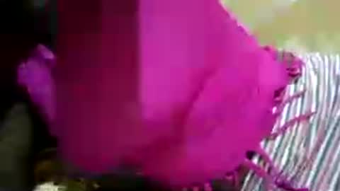 hairy_africanbae online show from 12, 7, 2026