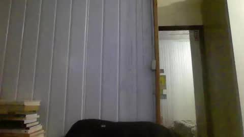 Snapshot of hairy_man_69_ chatting on 3, 1, 2025 horny online show from 3, 1, 2025