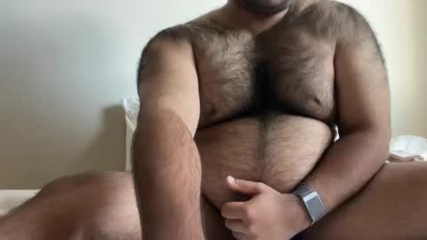 Snapshot of hairyaussie00 chatting on 23, 12, 2024 hairyaussie00 online show from 23, 12, 2024