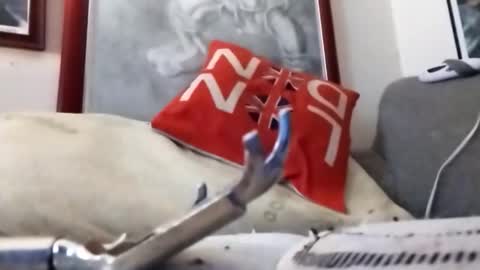 Marty online show from 22, 2, 2026