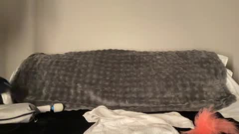 Haley Wood online show from 29, 7, 2026