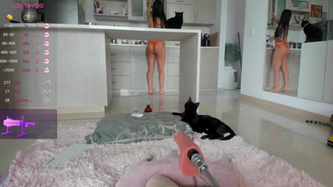 insta Laupalacio777Next stream 01th December online show from 14, 12, 2024