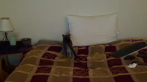 Snapshot of hammerthatthang73 chatting on 14, 10, 2025 hammerthatthang73 online show from 14, 10, 2025