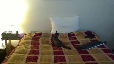 Snapshot of hammerthatthang73 chatting on 16, 10, 2025 hammerthatthang73 online show from 16, 10, 2025