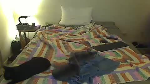 Snapshot of hammerthatthang73 chatting on 18, 10, 2025 hammerthatthang73 online show from 18, 10, 2025