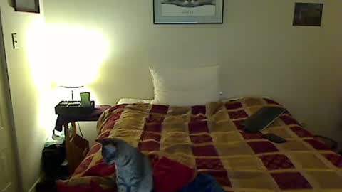 Snapshot of hammerthatthang73 chatting on 4, 11, 2025 hammerthatthang73 online show from 4, 11, 2025