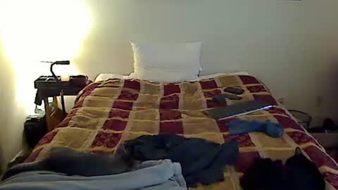 Snapshot of hammerthatthang73 chatting on 6, 11, 2025 hammerthatthang73 online show from 6, 11, 2025