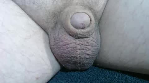 Handyman online show from 14, 12, 2025