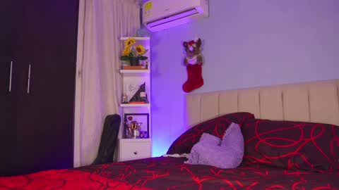 Snapshot of hanna_chris chatting on 27, 12, 2024 HANNA online show from 27, 12, 2024