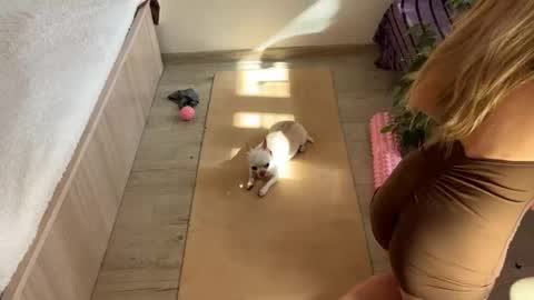 hannah levis  online show from 13, 3, 2026