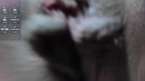 Snapshot of hannapaola chatting on 21, 2, 2025 HannaPaola online show from 21, 2, 2025