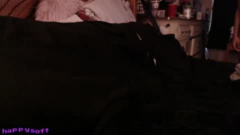 meatwad online show from 18, 4, 2026