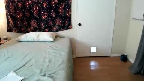 Snapshot of happytoesgonzonose chatting on 8, 6, 2026 Leila online show from 8, 6, 2026
