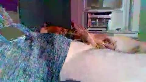 Snapshot of hardcockoncam22 chatting on 3, 11, 2025 cervixpainter25 online show from 3, 11, 2025