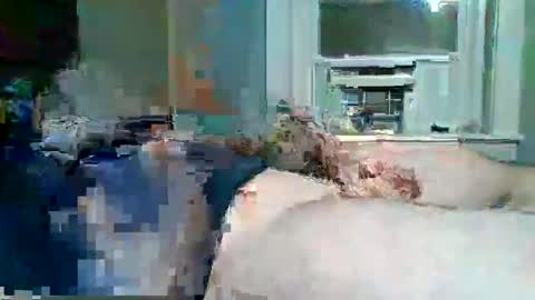 Snapshot of hardcockoncam22 chatting on 30, 11, 2025 cervixpainter25 online show from 30, 11, 2025