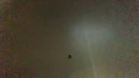 For You online show from 26, 1, 2025