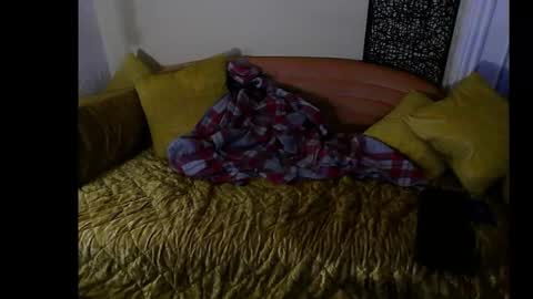 hardigan online show from 26, 12, 2024